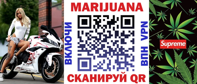 Бошки Шишки планчик  Удомля 